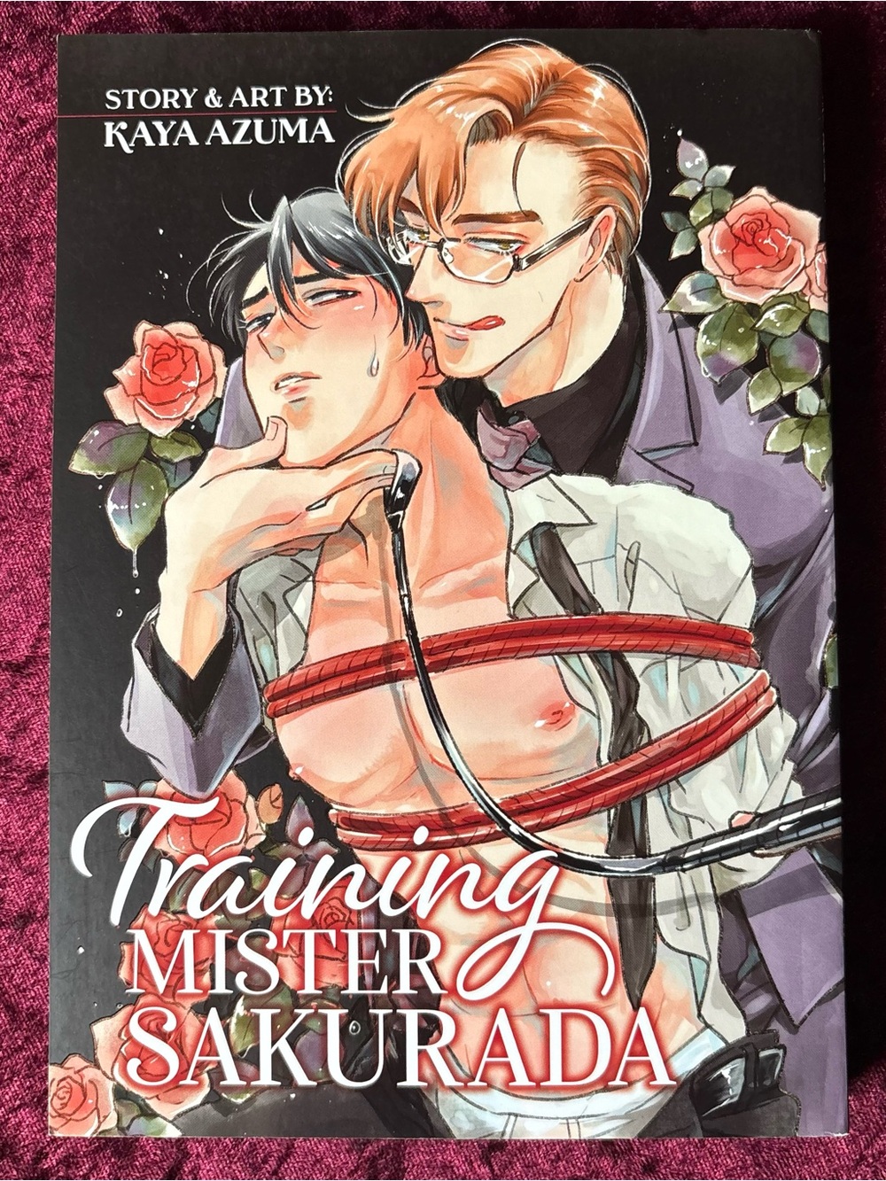 Training Mister Sakurada Manga by Kaya Azuma